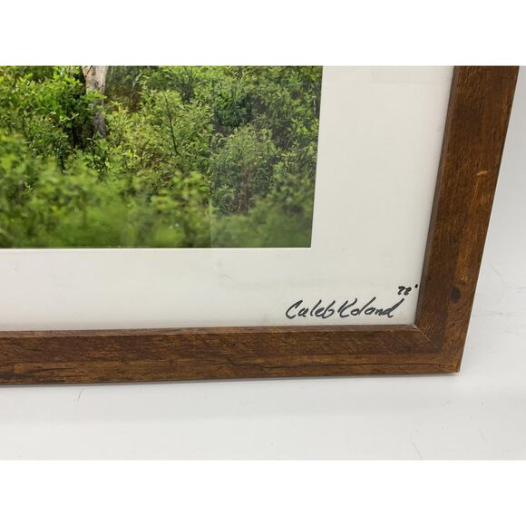 Caleb Koland Deer Wildlife Landscape Photo Print Framed Vintage Signed Wall Art - Picture 2 of 6